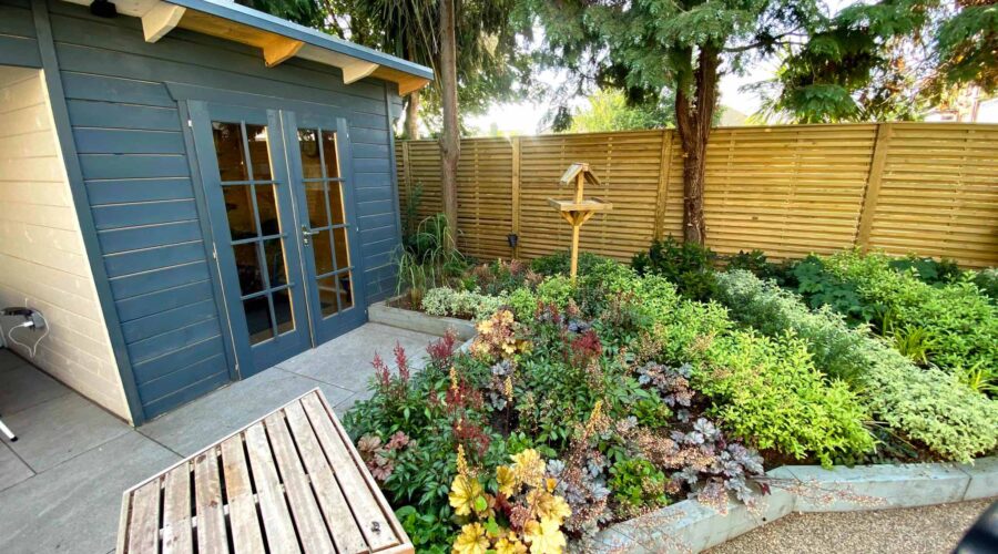 Beds of evergreen shruns and a blue painted shed at Age UK Croydon's Alan Titchmarsh garden in Thornton Heath